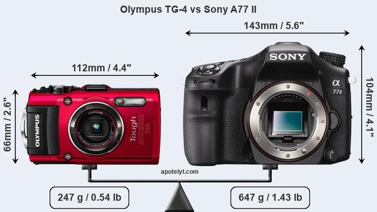 Size Olympus TG-4 vs Sony A77 II
