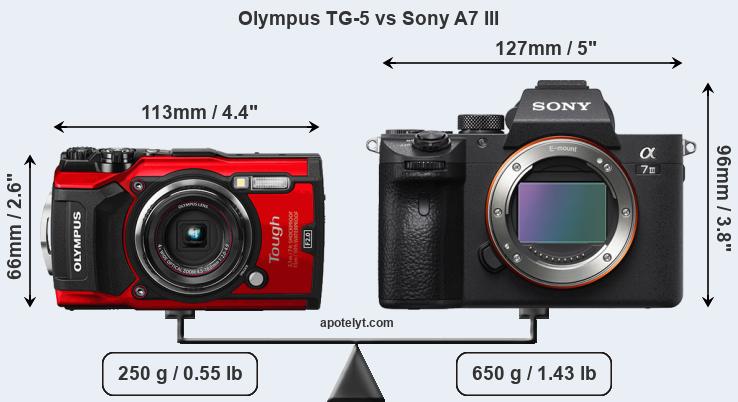 Size Olympus TG-5 vs Sony A7 III