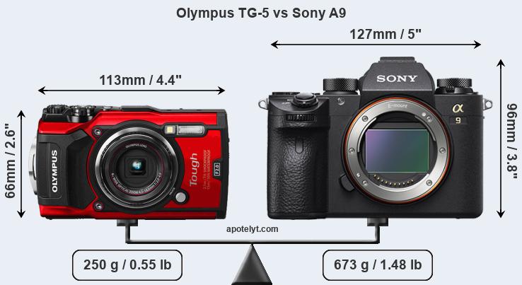Size Olympus TG-5 vs Sony A9