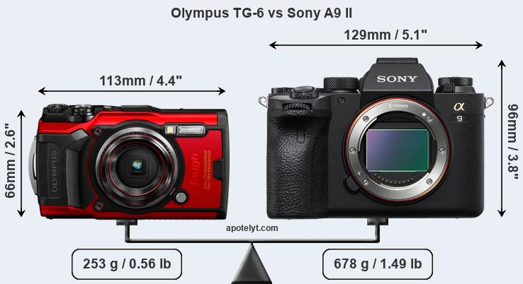 Size Olympus TG-6 vs Sony A9 II