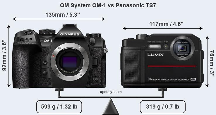 Size OM System OM-1 vs Panasonic TS7