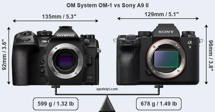 Size OM System OM-1 vs Sony A9 II