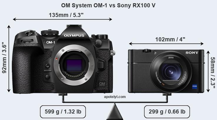 Size OM System OM-1 vs Sony RX100 V