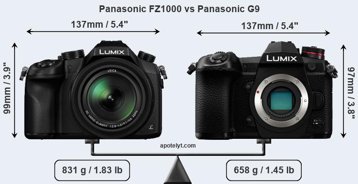 Size Panasonic FZ1000 vs Panasonic G9