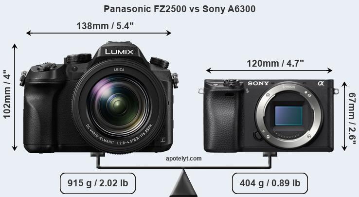 Size Panasonic FZ2500 vs Sony A6300