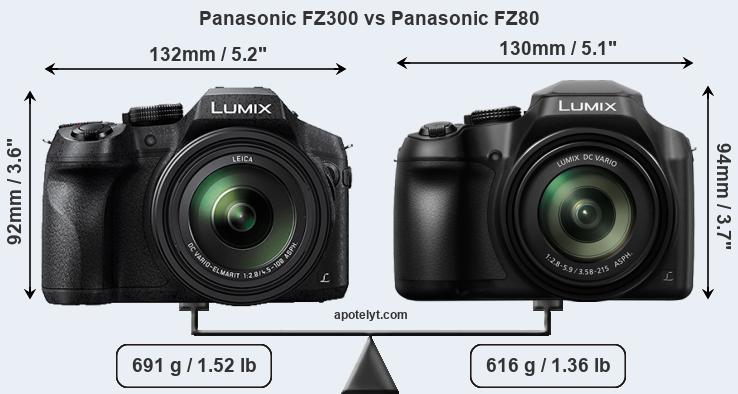 Size Panasonic FZ300 vs Panasonic FZ80