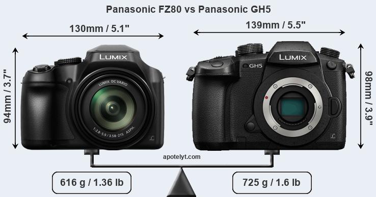 Size Panasonic FZ80 vs Panasonic GH5