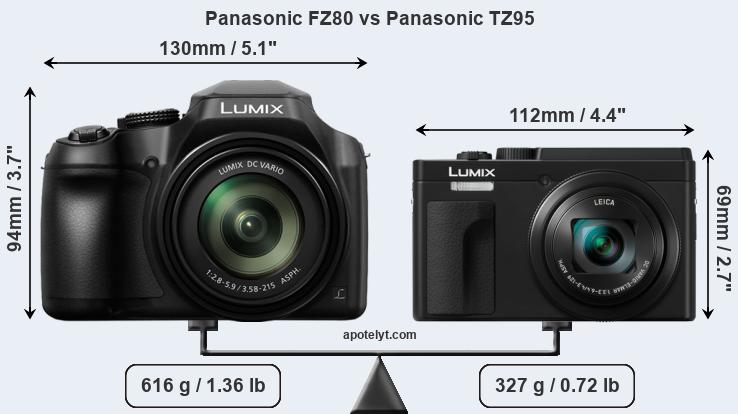 Size Panasonic FZ80 vs Panasonic TZ95