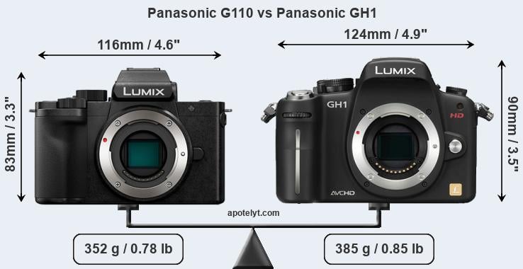 Size Panasonic G110 vs Panasonic GH1