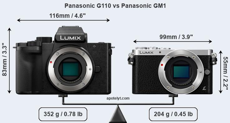 Size Panasonic G110 vs Panasonic GM1