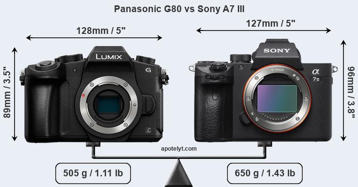 Size Panasonic G80 vs Sony A7 III