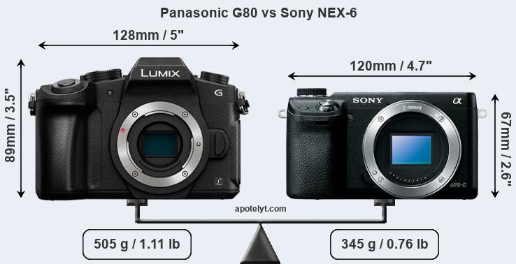 Size Panasonic G80 vs Sony NEX-6
