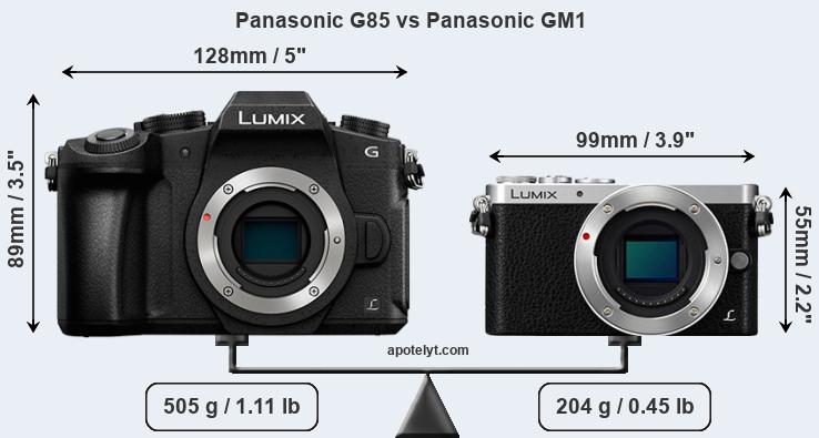 Size Panasonic G85 vs Panasonic GM1