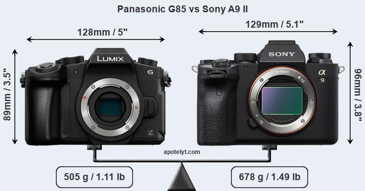 Size Panasonic G85 vs Sony A9 II