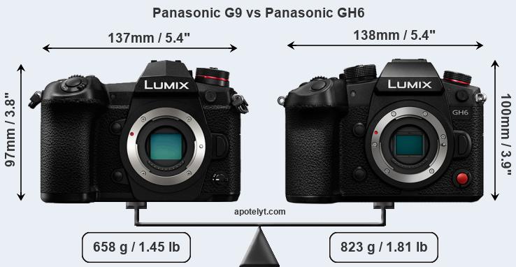 Size Panasonic G9 vs Panasonic GH6