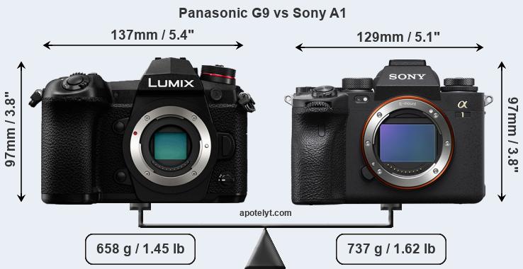Size Panasonic G9 vs Sony A1