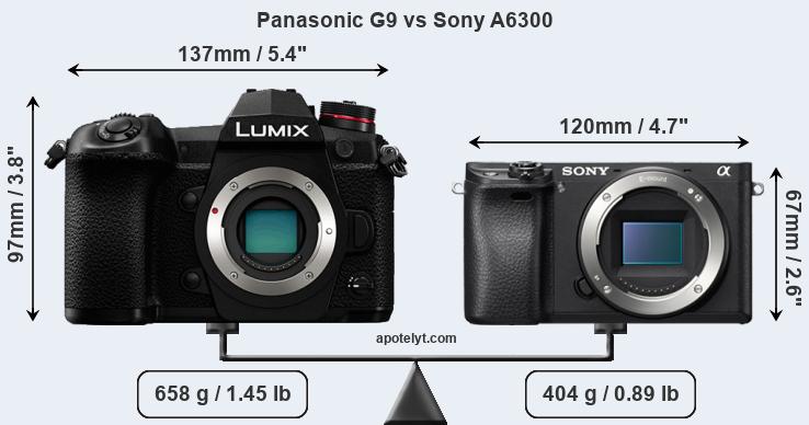 Size Panasonic G9 vs Sony A6300