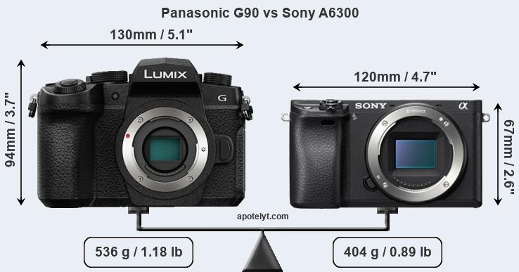 Size Panasonic G90 vs Sony A6300