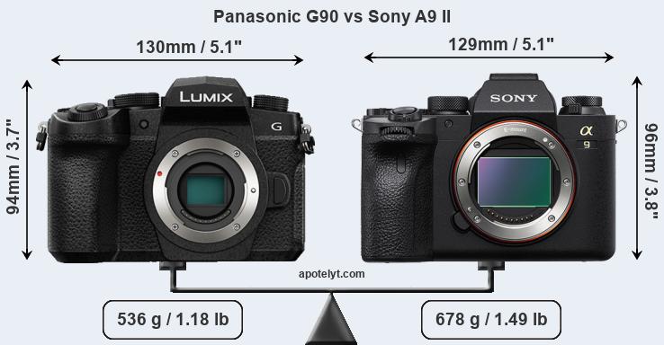 Size Panasonic G90 vs Sony A9 II