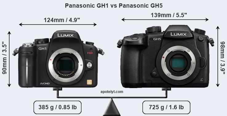 Size Panasonic GH1 vs Panasonic GH5