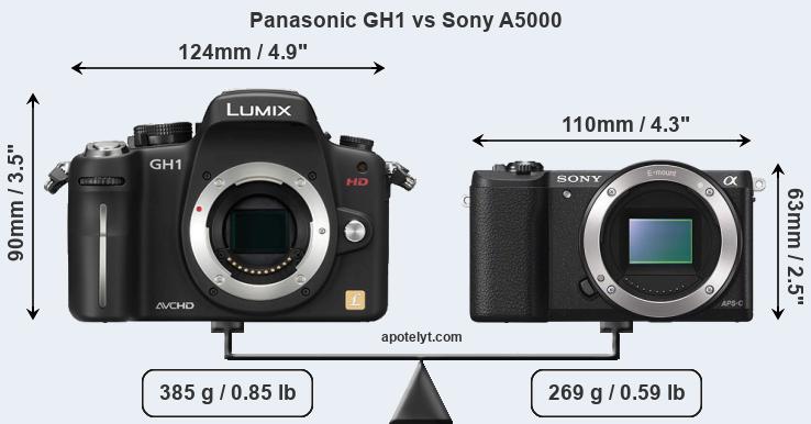 Size Panasonic GH1 vs Sony A5000