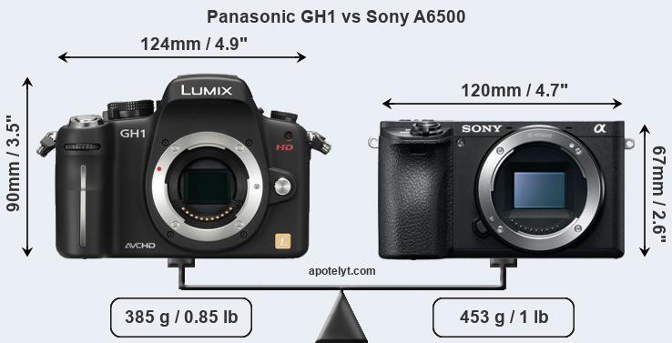 Size Panasonic GH1 vs Sony A6500