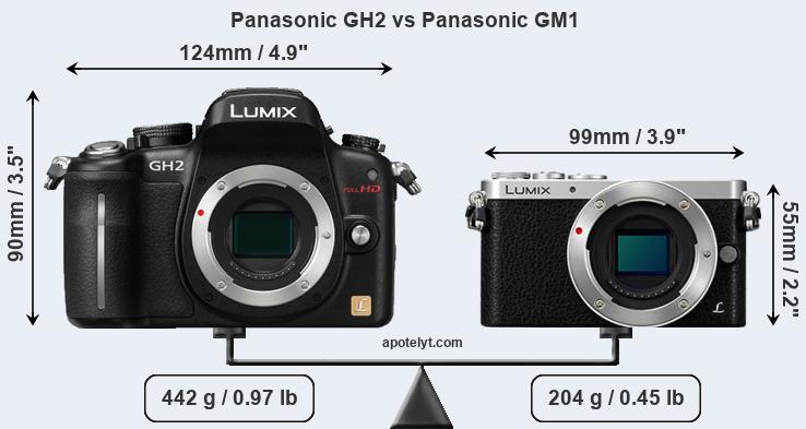 Size Panasonic GH2 vs Panasonic GM1