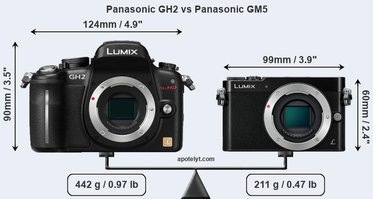 Size Panasonic GH2 vs Panasonic GM5