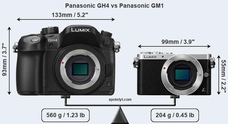 Size Panasonic GH4 vs Panasonic GM1