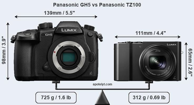Size Panasonic GH5 vs Panasonic TZ100