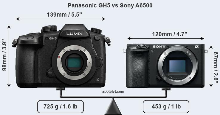 Size Panasonic GH5 vs Sony A6500