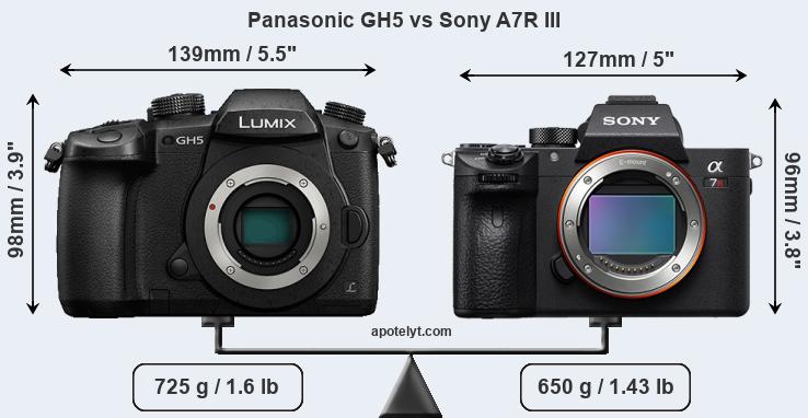 Size Panasonic GH5 vs Sony A7R III