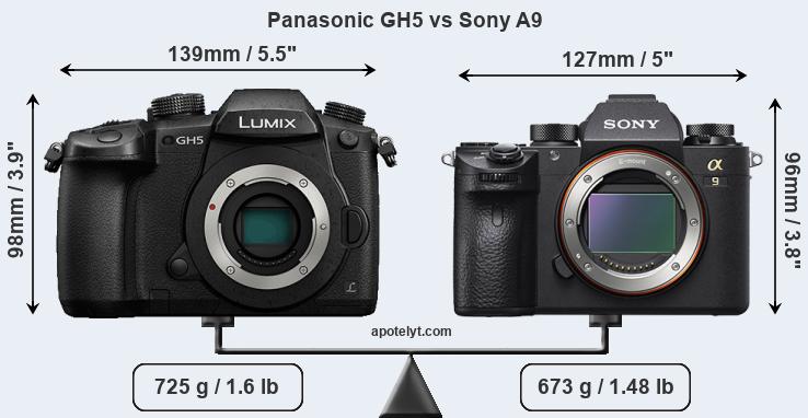 Size Panasonic GH5 vs Sony A9