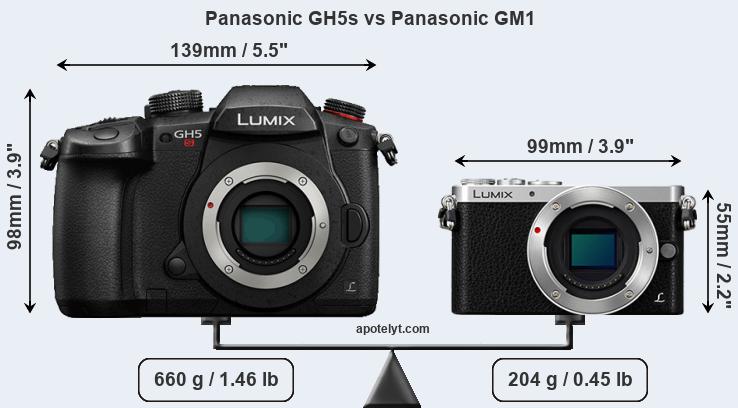 Size Panasonic GH5s vs Panasonic GM1