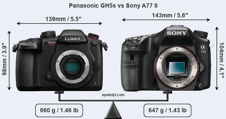 Size Panasonic GH5s vs Sony A77 II