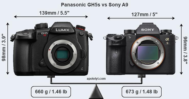 Size Panasonic GH5s vs Sony A9