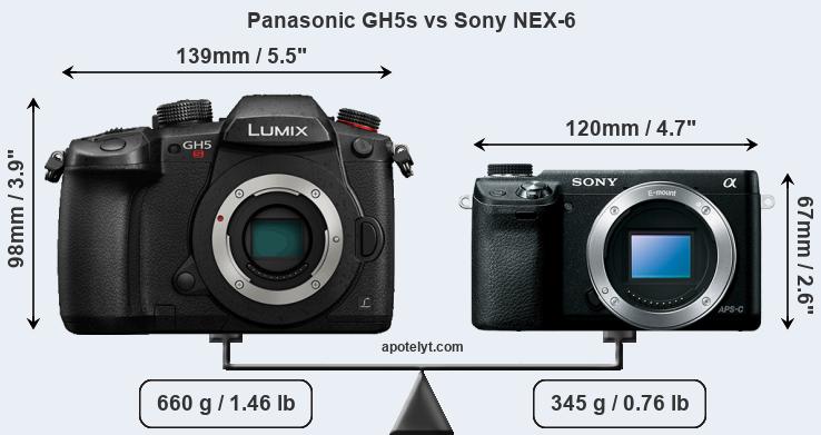 Size Panasonic GH5s vs Sony NEX-6
