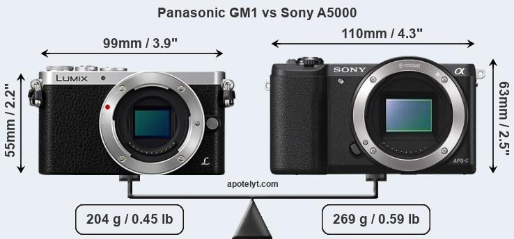 Size Panasonic GM1 vs Sony A5000