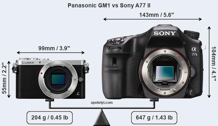 Size Panasonic GM1 vs Sony A77 II
