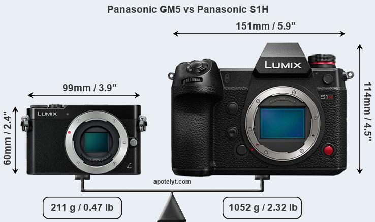 Size Panasonic GM5 vs Panasonic S1H