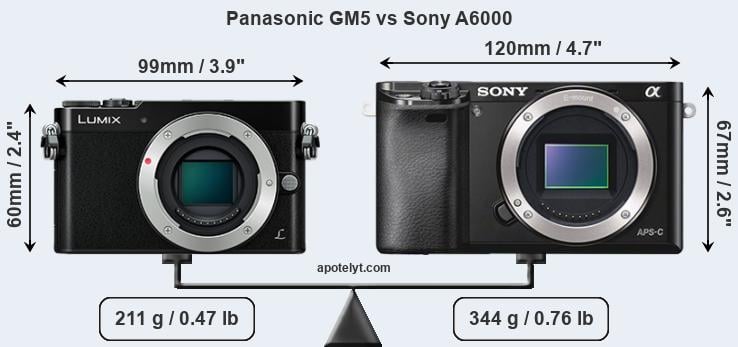 Size Panasonic GM5 vs Sony A6000