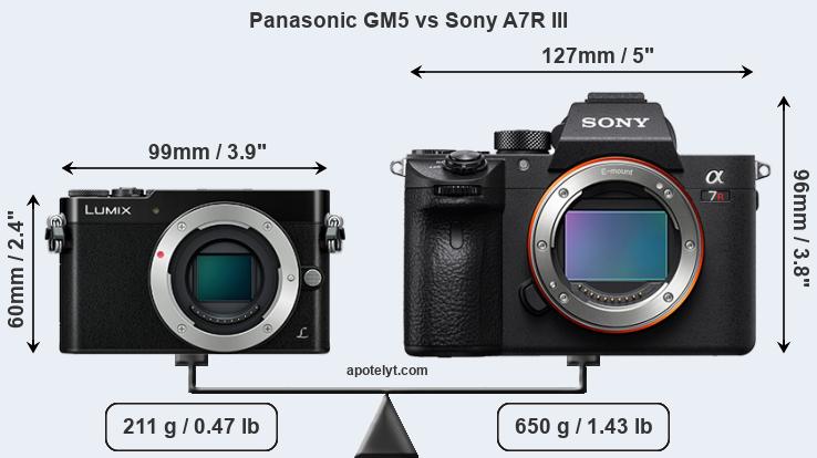 Size Panasonic GM5 vs Sony A7R III