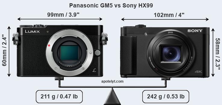 Size Panasonic GM5 vs Sony HX99