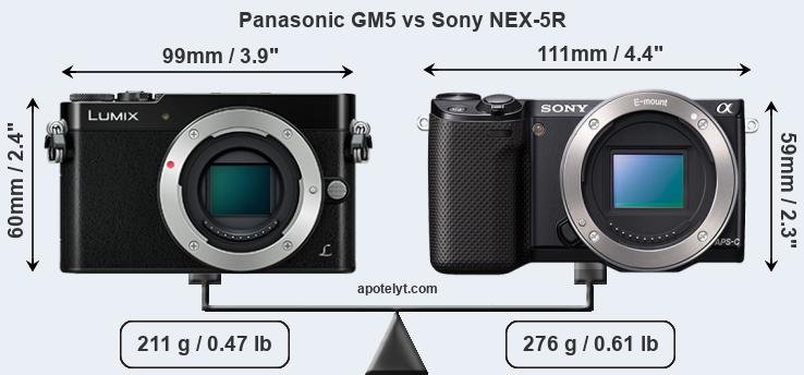 Size Panasonic GM5 vs Sony NEX-5R