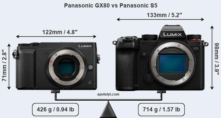 Size Panasonic GX80 vs Panasonic S5