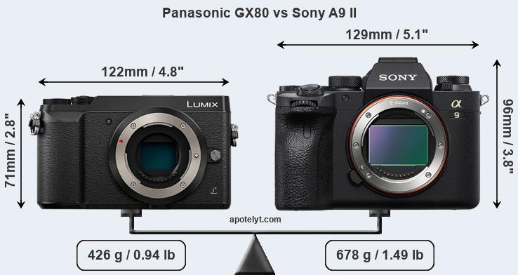 Size Panasonic GX80 vs Sony A9 II