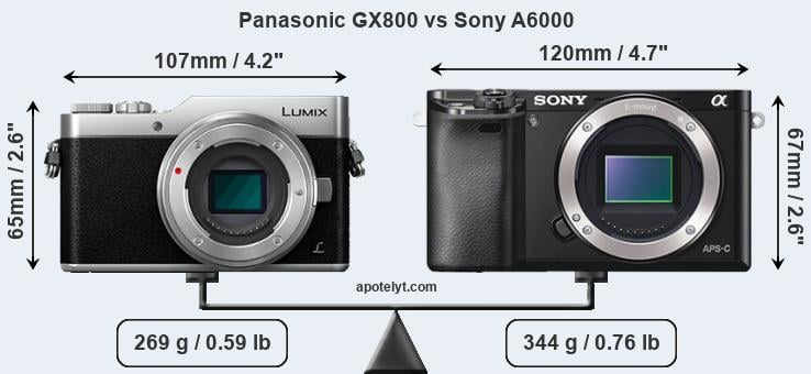 Size Panasonic GX800 vs Sony A6000
