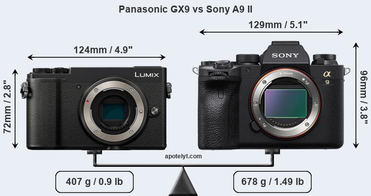 Size Panasonic GX9 vs Sony A9 II