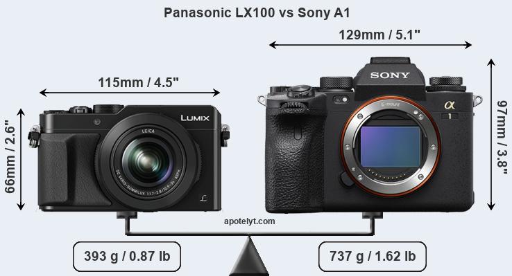 Size Panasonic LX100 vs Sony A1