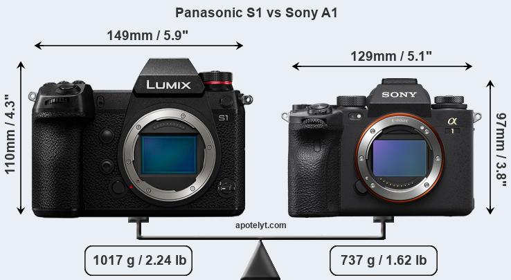 Size Panasonic S1 vs Sony A1